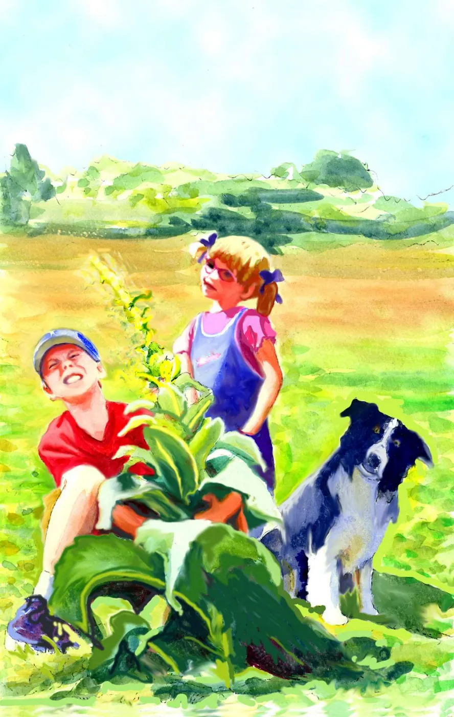 Pulling weeds