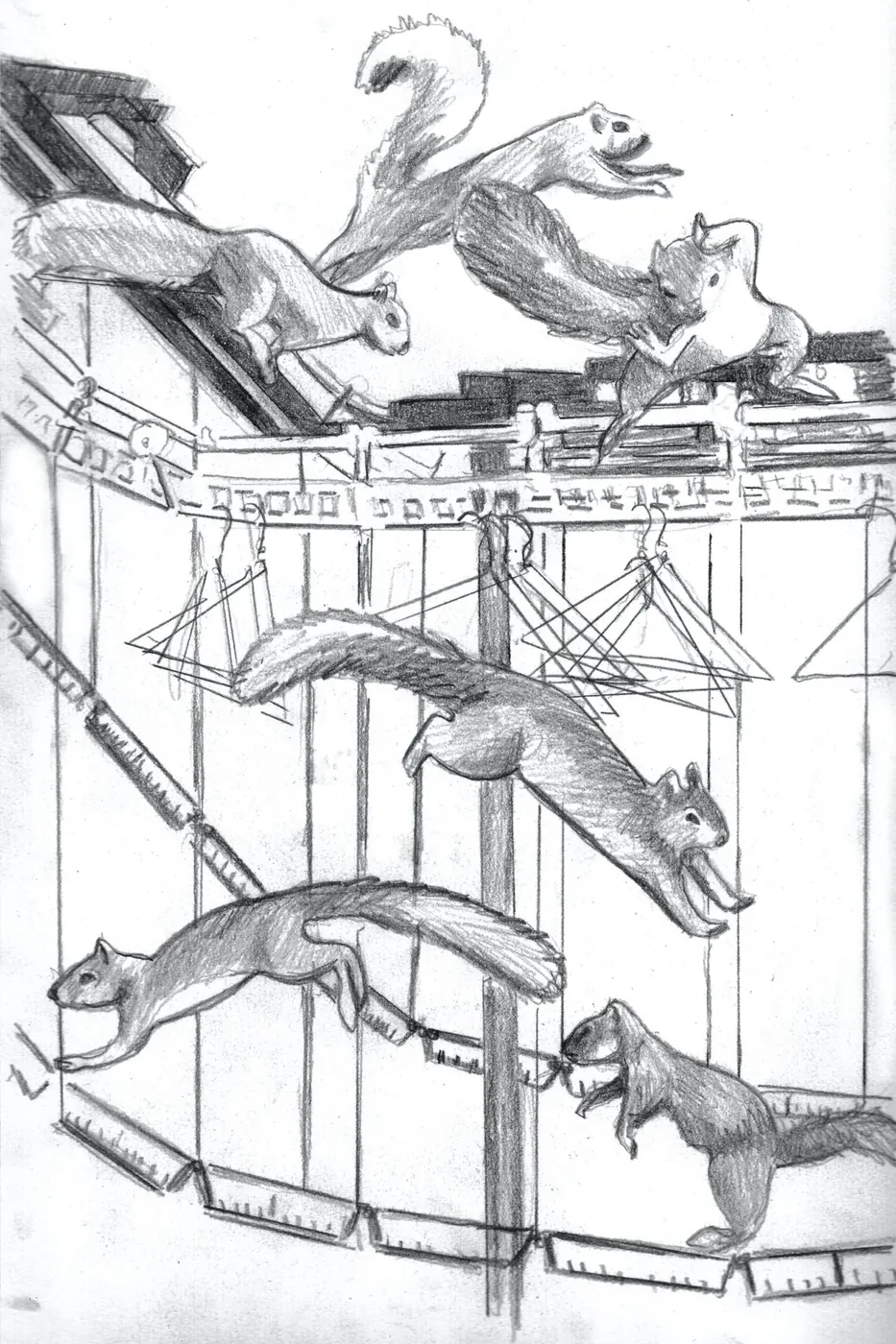 Squirrels dance the Solution
