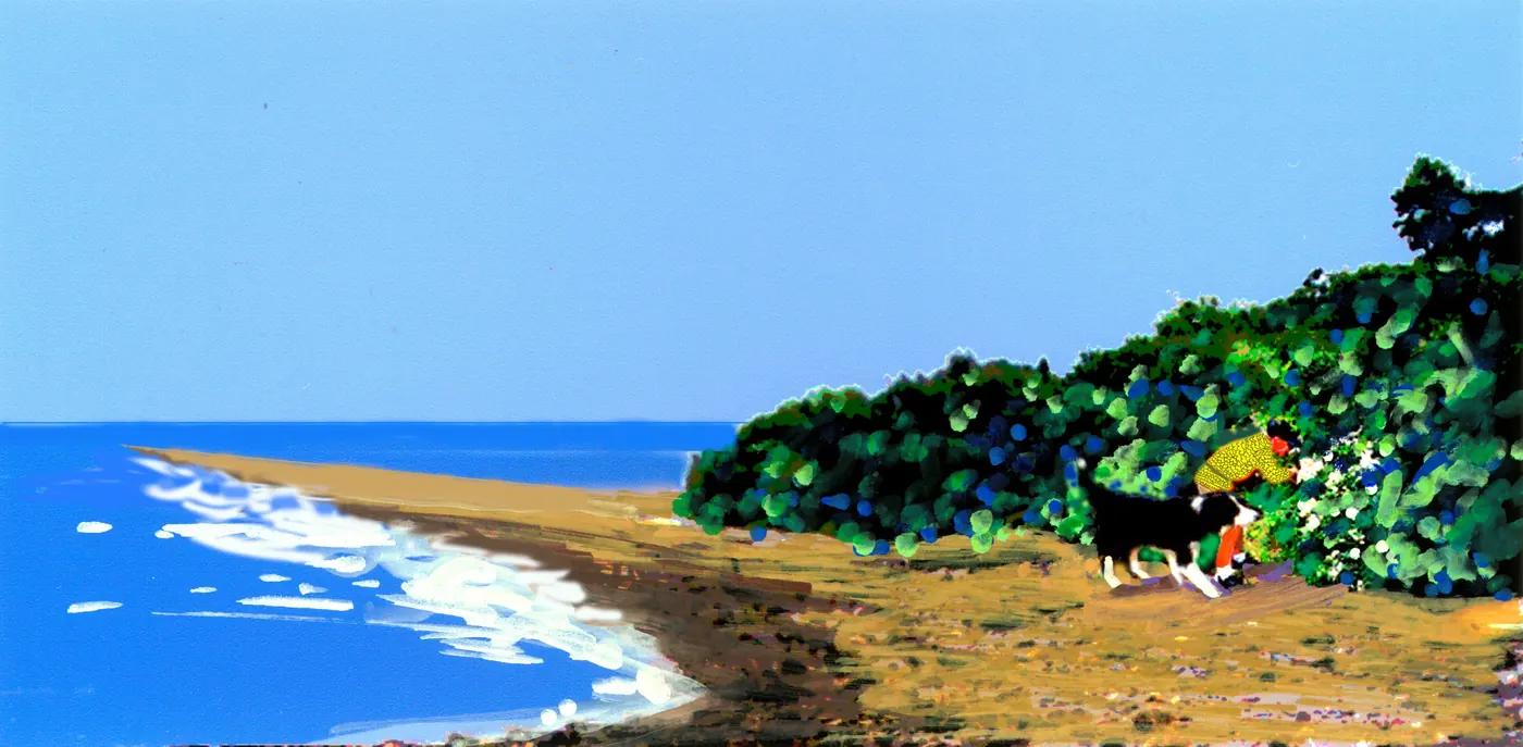 Seaside view with dog exploring bushes