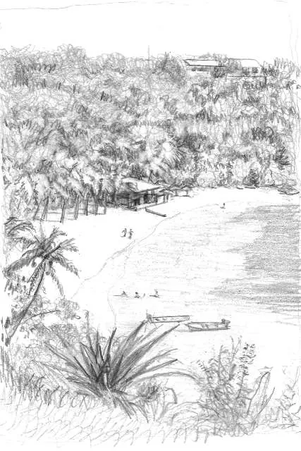 View of the Beach