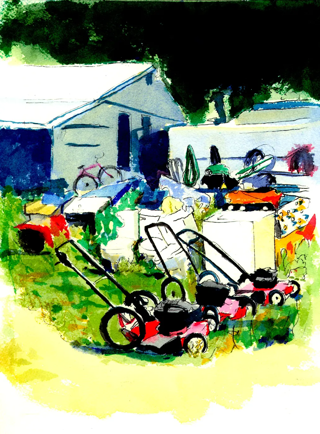 Colorful backyard with assorted garden equipment