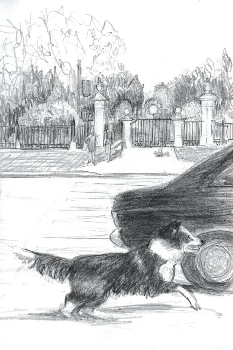 Mr. Tweed Chasing the car