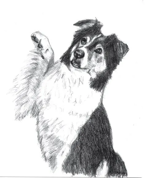 Good Dog